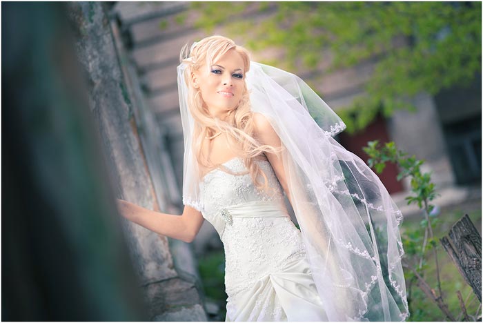 ������ ��������