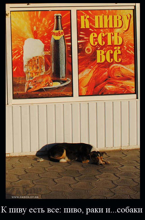 � ���� ���� ���: ����, ���� �... ������!