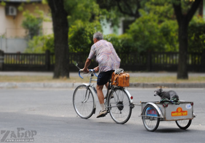 ������� ���. ���������� ��������