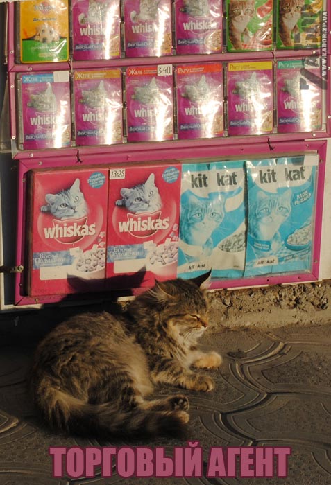 �������� �����