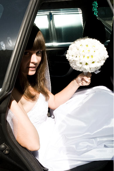 ������� ��������