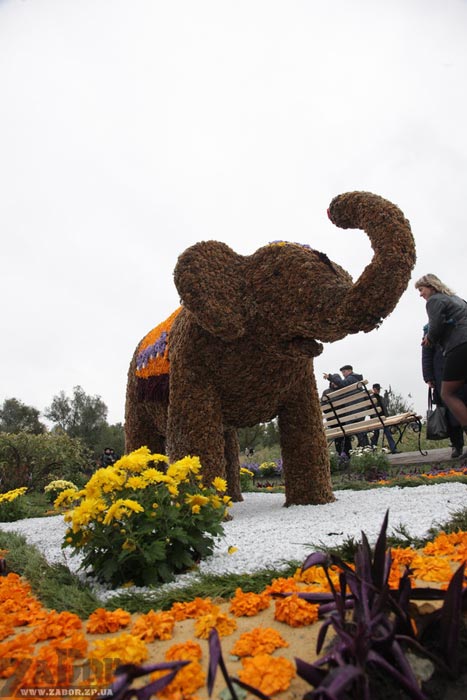 ���������� �� ������ - ���� (���������� ������� � ���������)