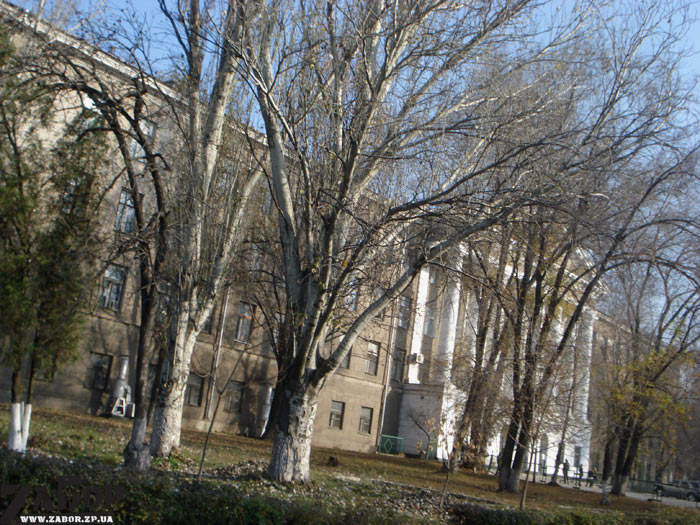 ���������������� ������� (���������)