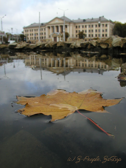 ����������� �����. ��� � ���. �������� (���������)