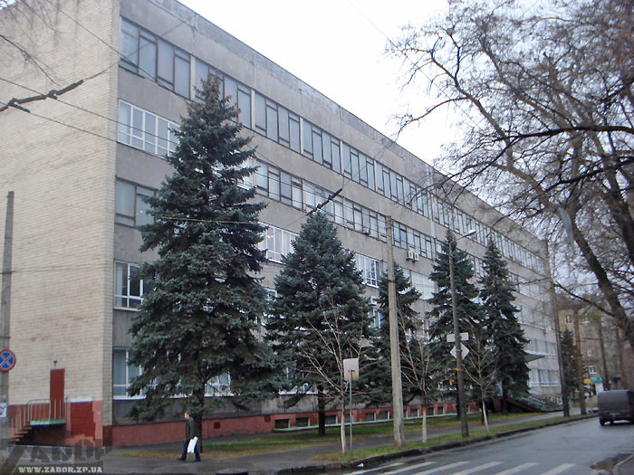 ������ ���� (���������)