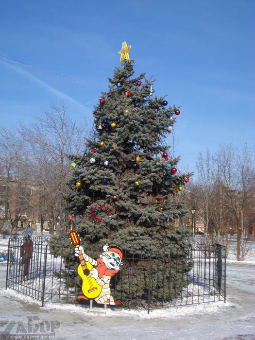 ����������� ���� ���������� ������ ���������