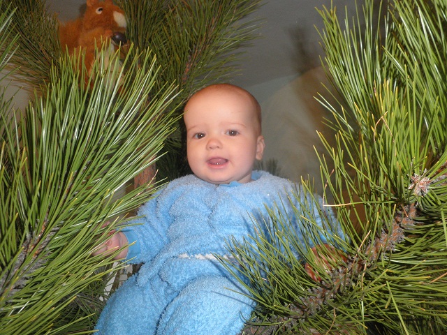 "��� ������� �� ����. ���������� ���� �!"