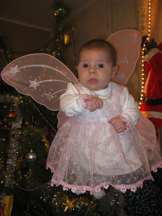 ���������� ���