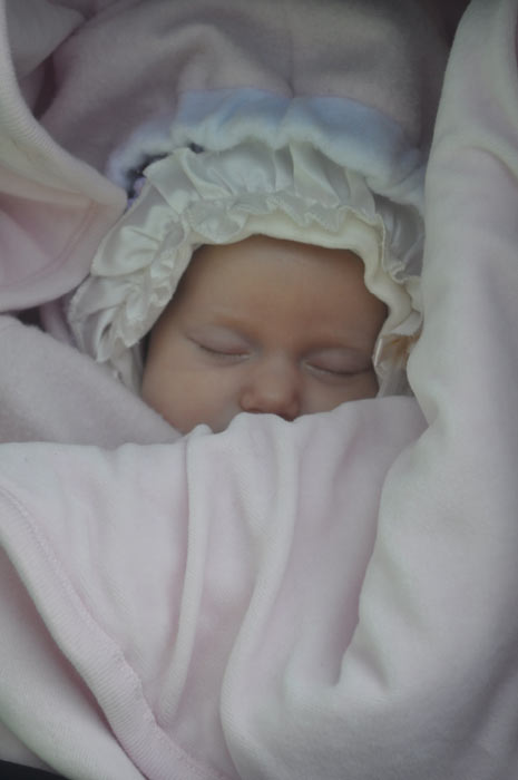 �������� - ��������� �����