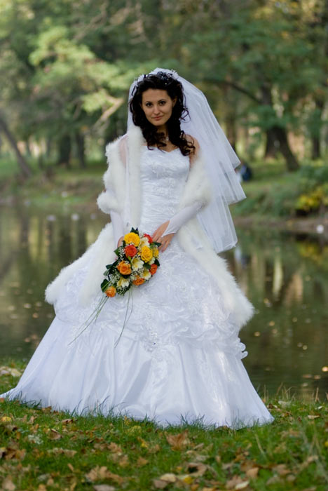 ���� ���������