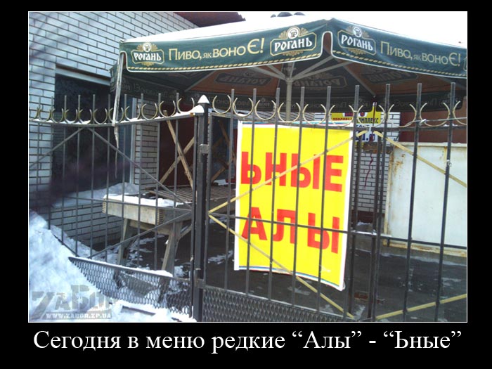 ������ ���