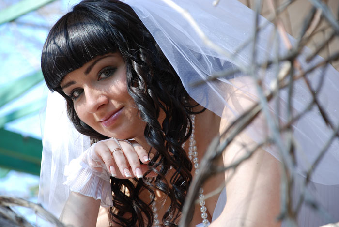 ���������� ��������