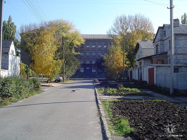 ����� �33 � ���������