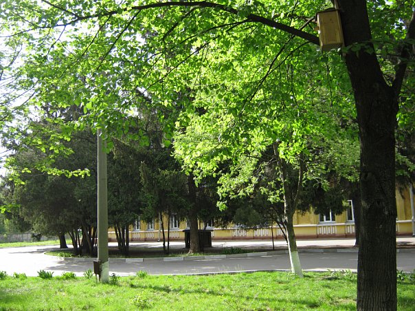 ����� �59 � ���������