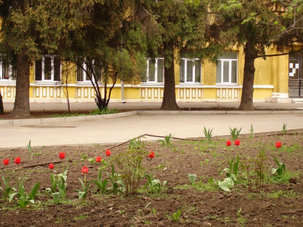 ����� �59 � ���������