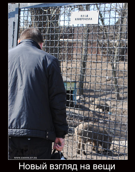 ����� ������ �� ����