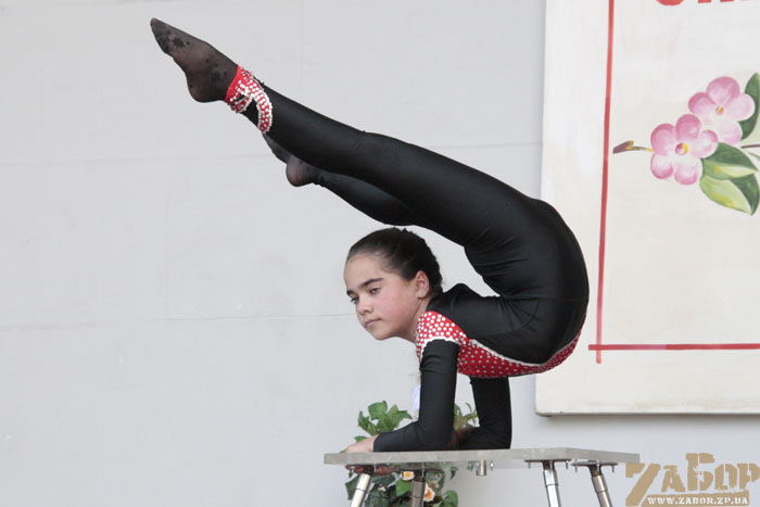 ������������� ����������