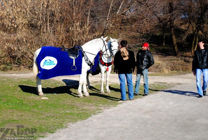 �������������� ���� � ���������