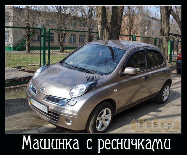 ��������� ����������� ��������