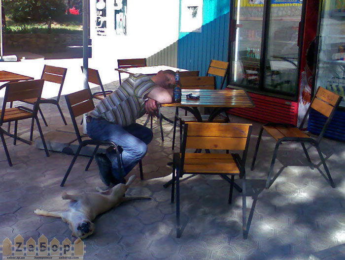 � ���� � ������� �� �����������