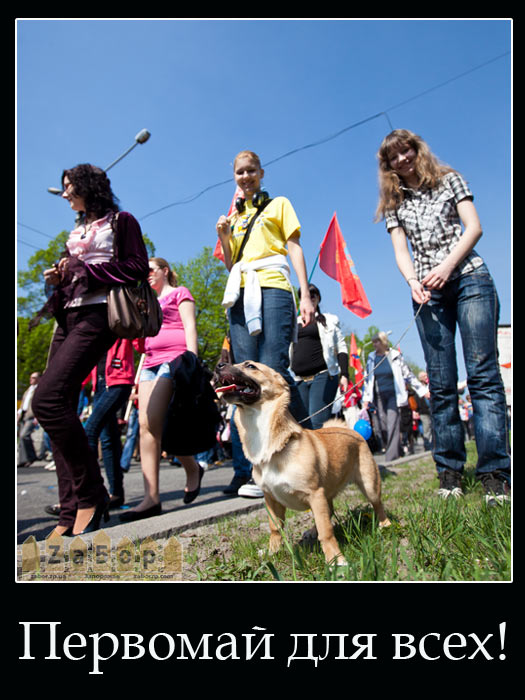 �������� ��� ����!