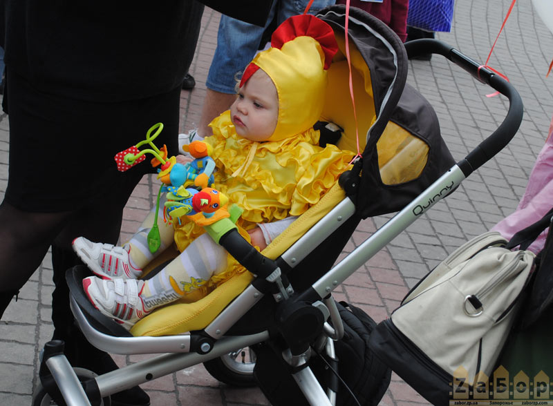 ����� ������� � ���������