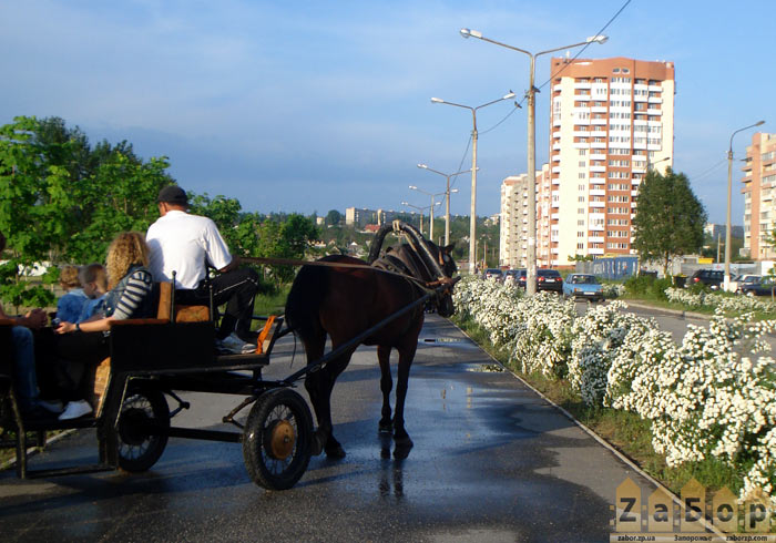 ���� �� ����� ������������� � ���������