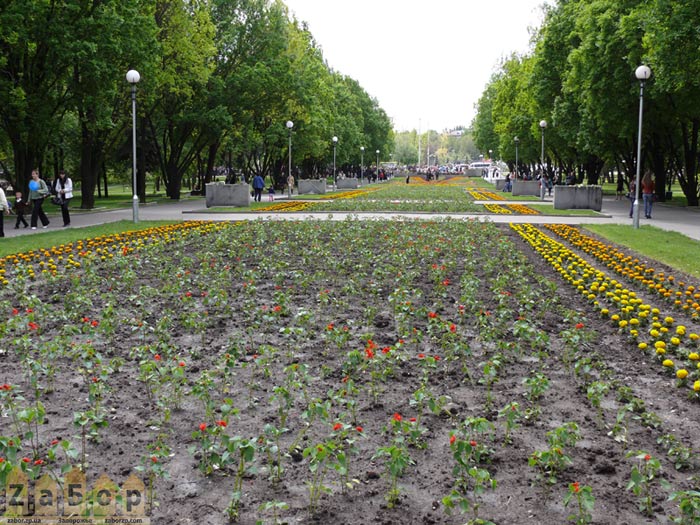 ����� ����� � ���������