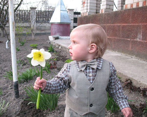 ������� - �����������!