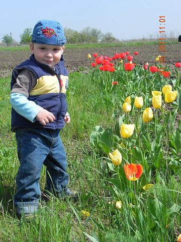 ����� � ��������