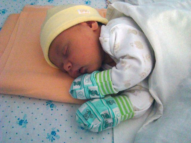 ������ ����� ���������, ������ ����