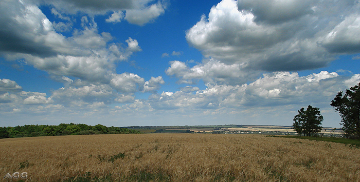 ����������� �. ��������