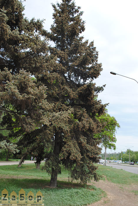 ����� � ���������