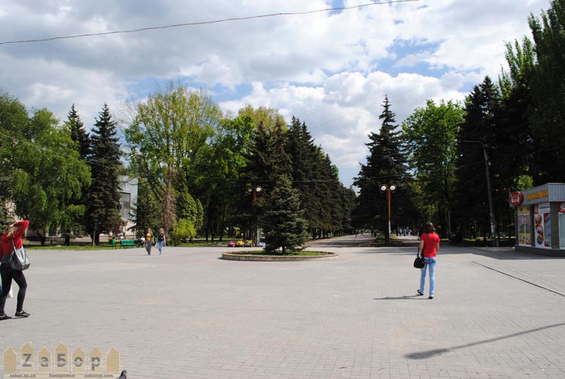 ��������� ����� (������), ���������