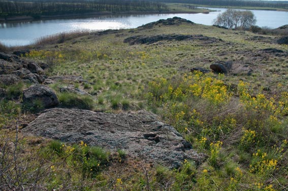 �������� ������. ���� 2009