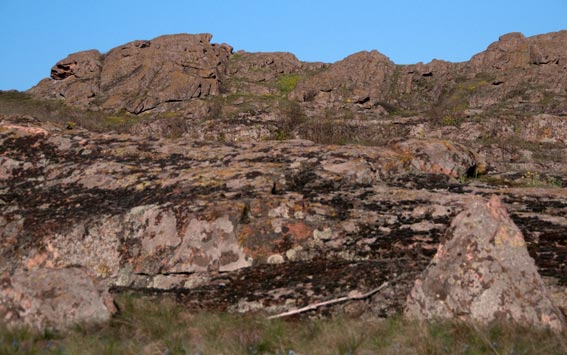 �������� ������. ���� 2009