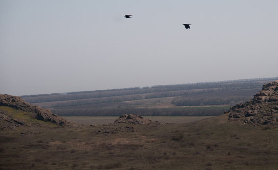 �������� ������. ���� 2009