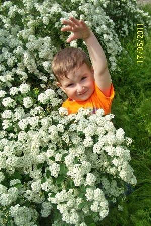 � ������ ​