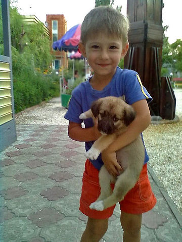 � ������ �� ����