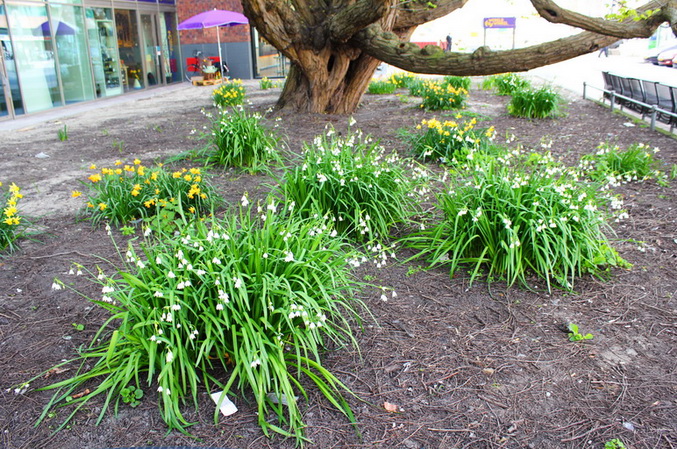 ����������� ��� ������� � ����� ������ ������