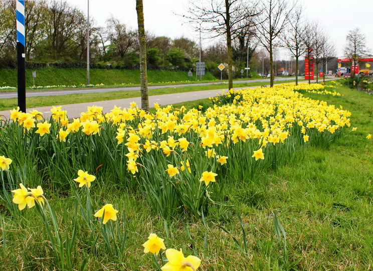 ��������� �������