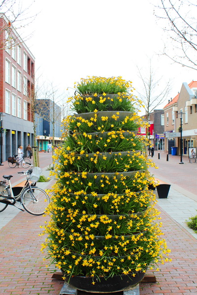 ��������� �����