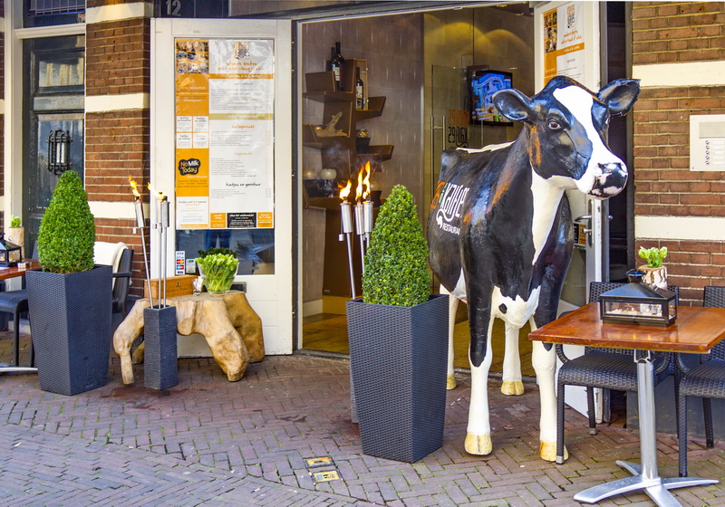 ���� � ��������