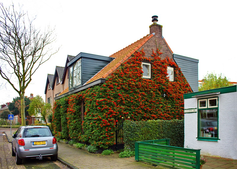 ��� � ����