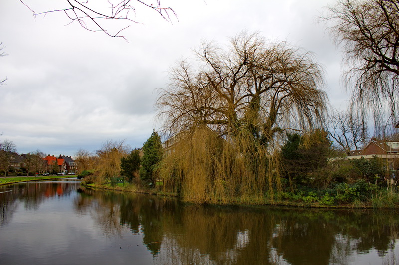 �������� ��������