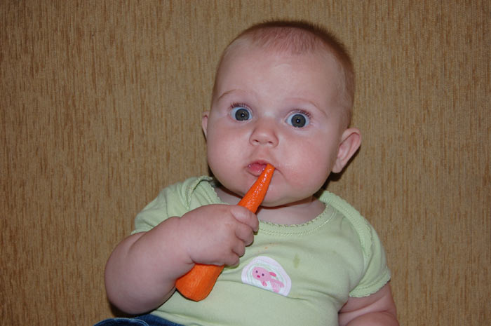 ���-�� ����� ������