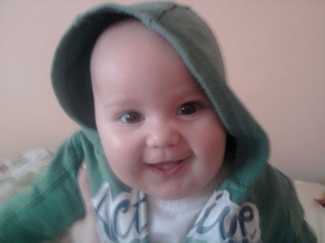 ������� -���������