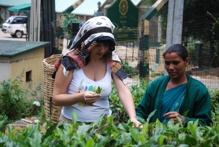 ���� ��� �����������