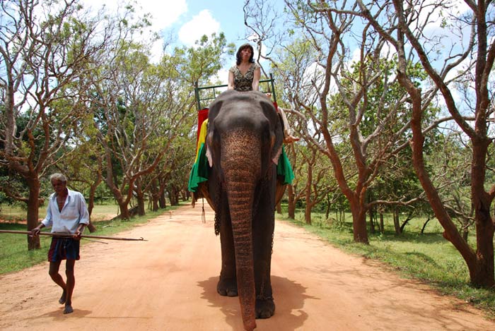 ������� �� ������