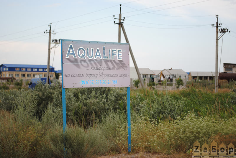 �������� - ���� ������ � ���. ���������� (��������)